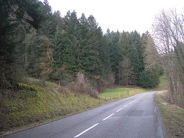 Macromiceti jurassiani � la lunga ricerca